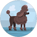 sue mills profile picture