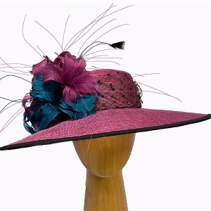 Raspberry teal feathers hat