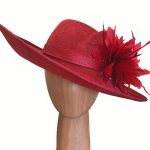 red feather dress hat